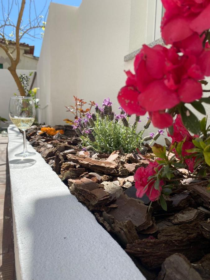 Casas Dos Seixos Villa Moledo  Exteriör bild